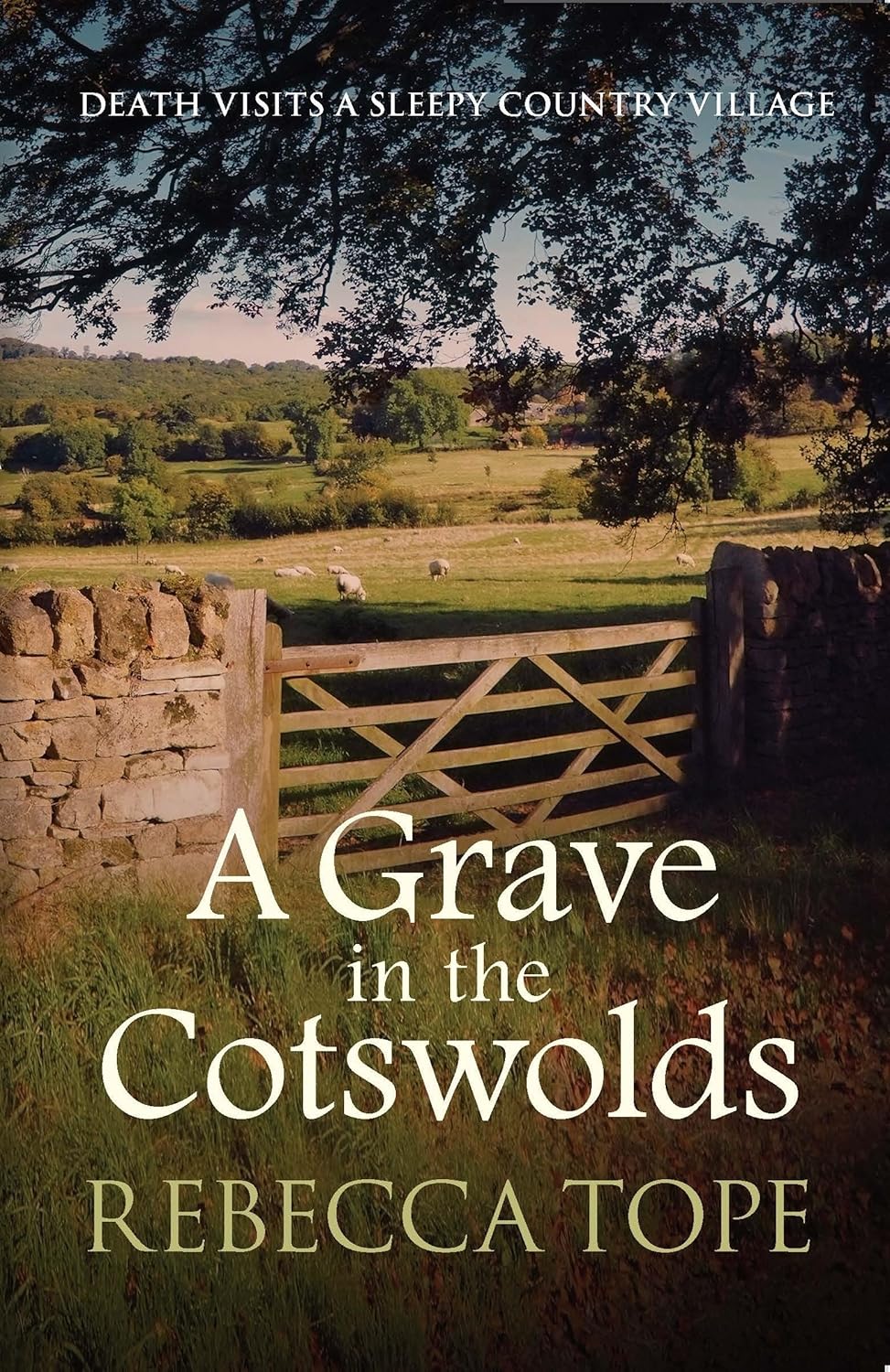 A Grave in the Cotswolds - Rebecca Tope