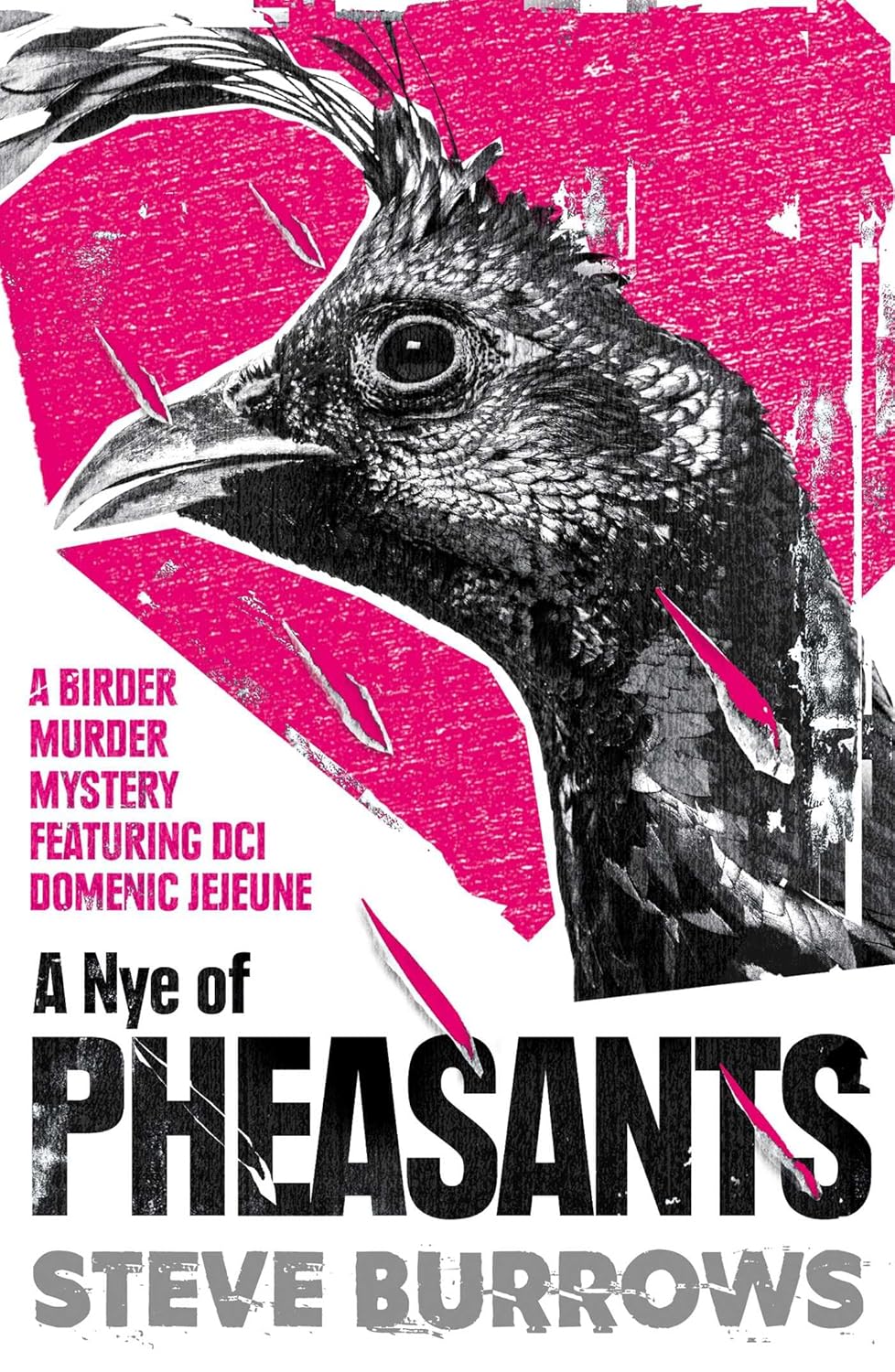 A Nye of Pheasants (Birder Murder Series #8) - Steve Burrows