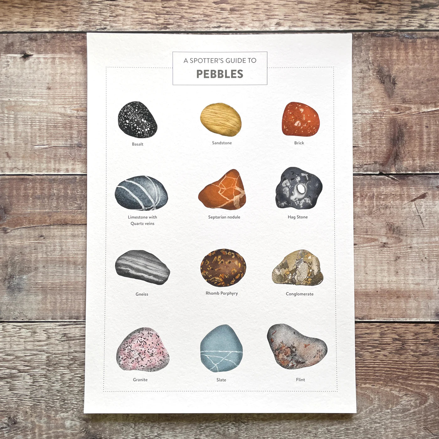 A Spotter's Guide to Pebbles - limited-edition, giclee print