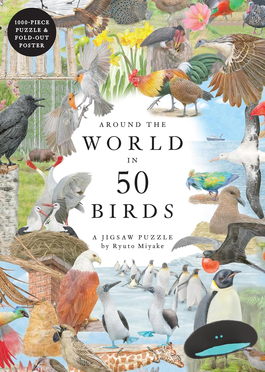 Around the World in 50 Birds: 1000 piece Jigsaw Puzzle