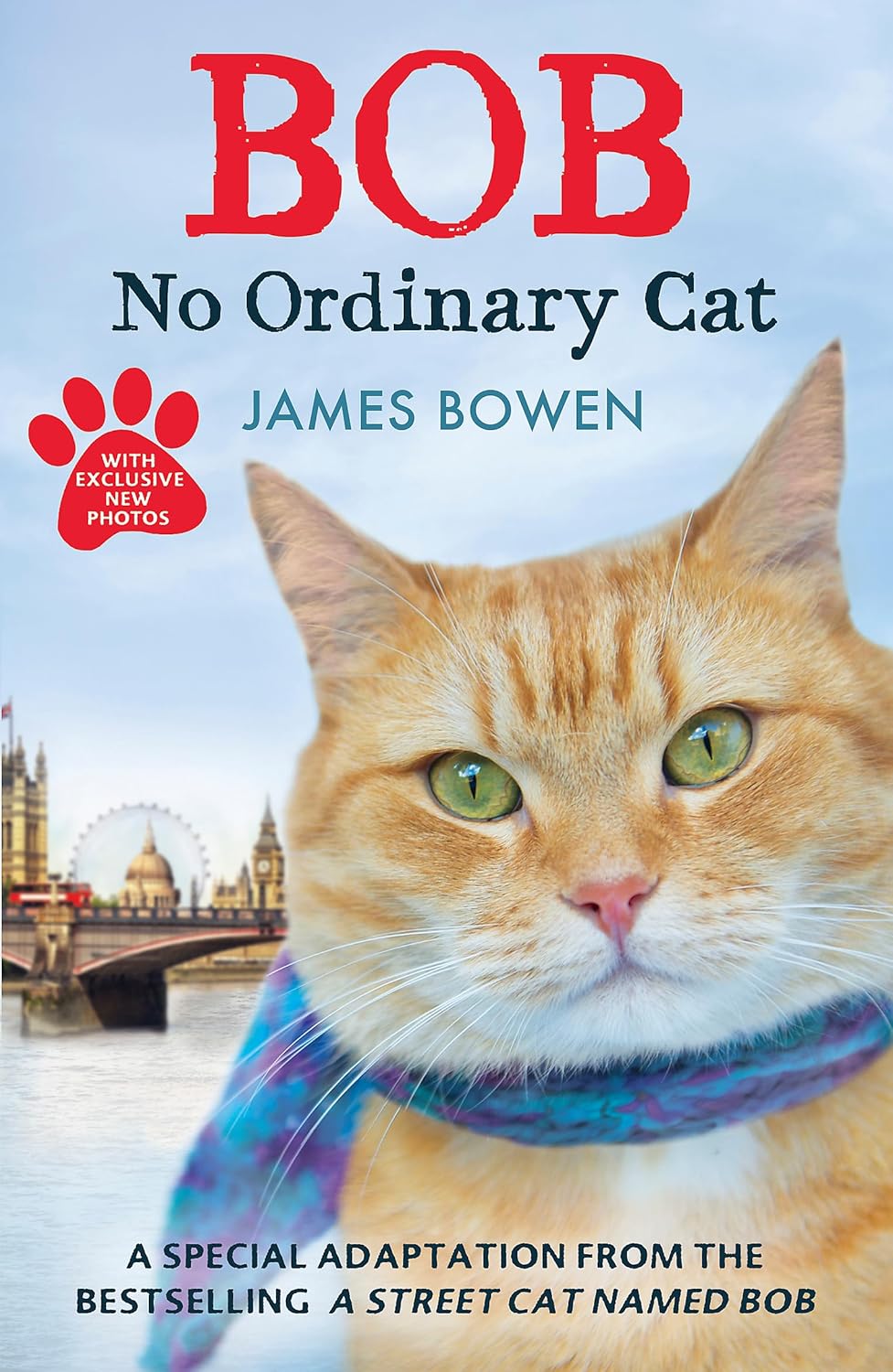 Bob: No Ordinary Cat - James Bowen