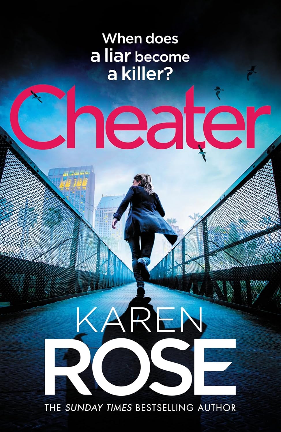 Cheater (The San Diego Case Files Book #2) - Karen Rose