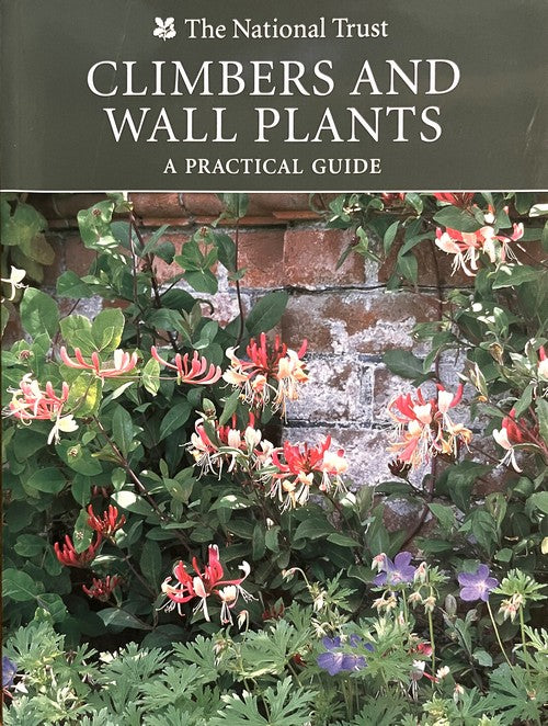 Climbers and Wallplants - Sue Spielburg