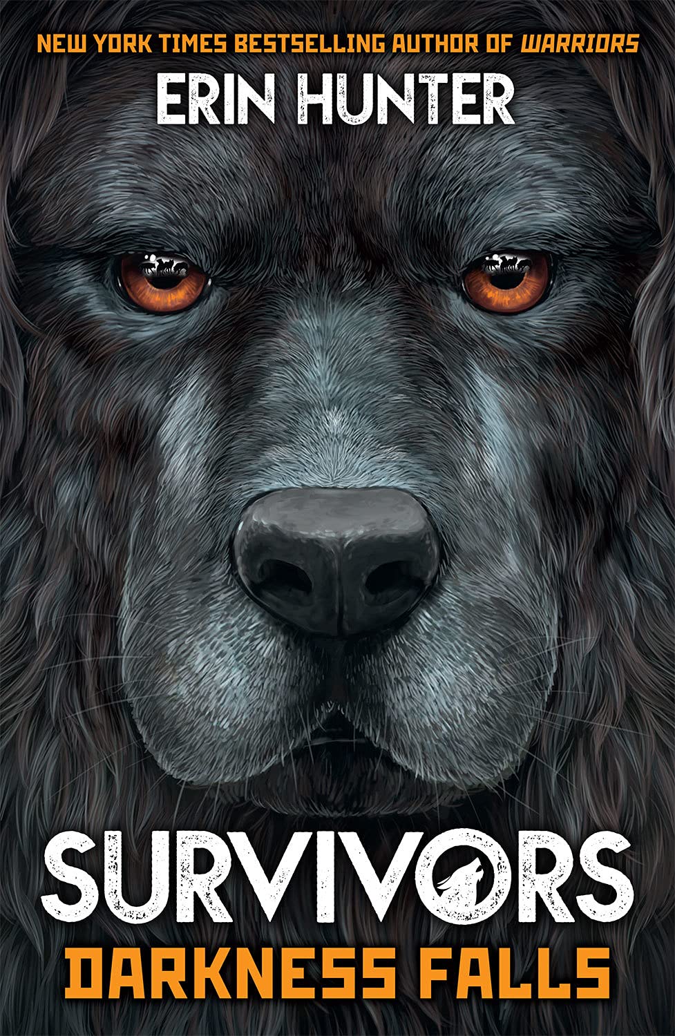 Darkness Falls (Survivors Series # 3) - Erin Hunter