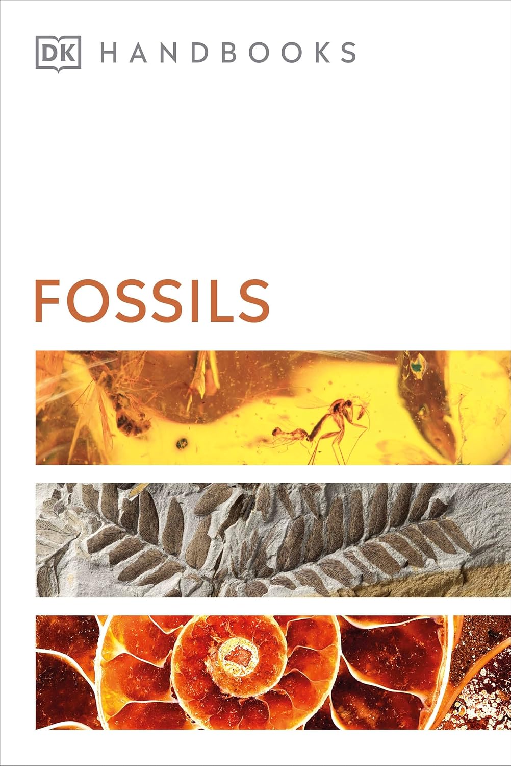Fossils - David Ward