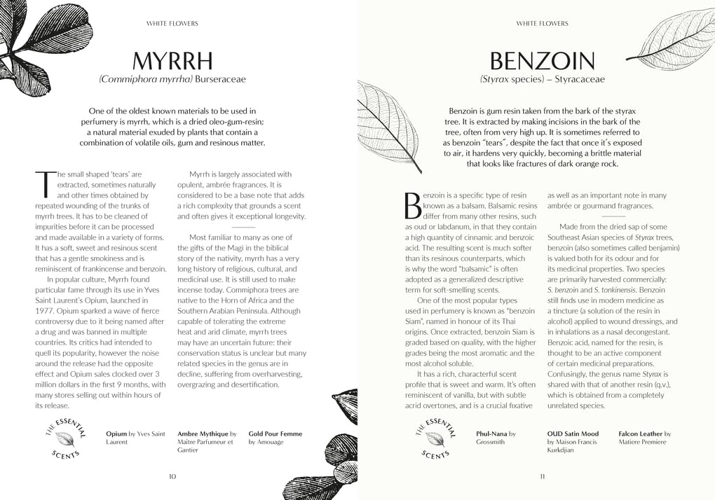 Fragrance : From plant to perfume, the botanical origins of scent - Josh Carter | Royal Botanic Gardens Kew | Samuel Gearing