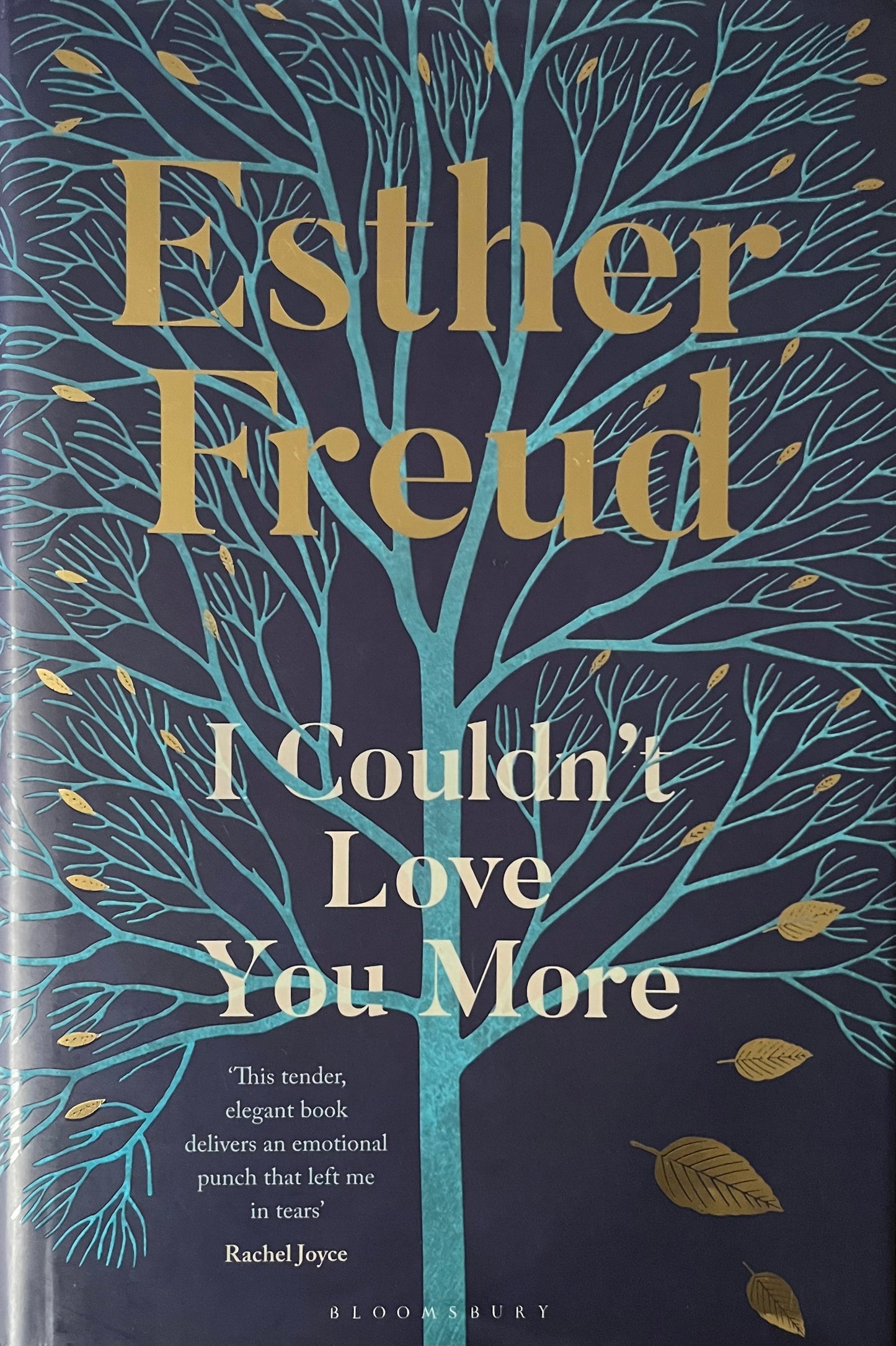 I Couldn't Love You More - Esther Freud