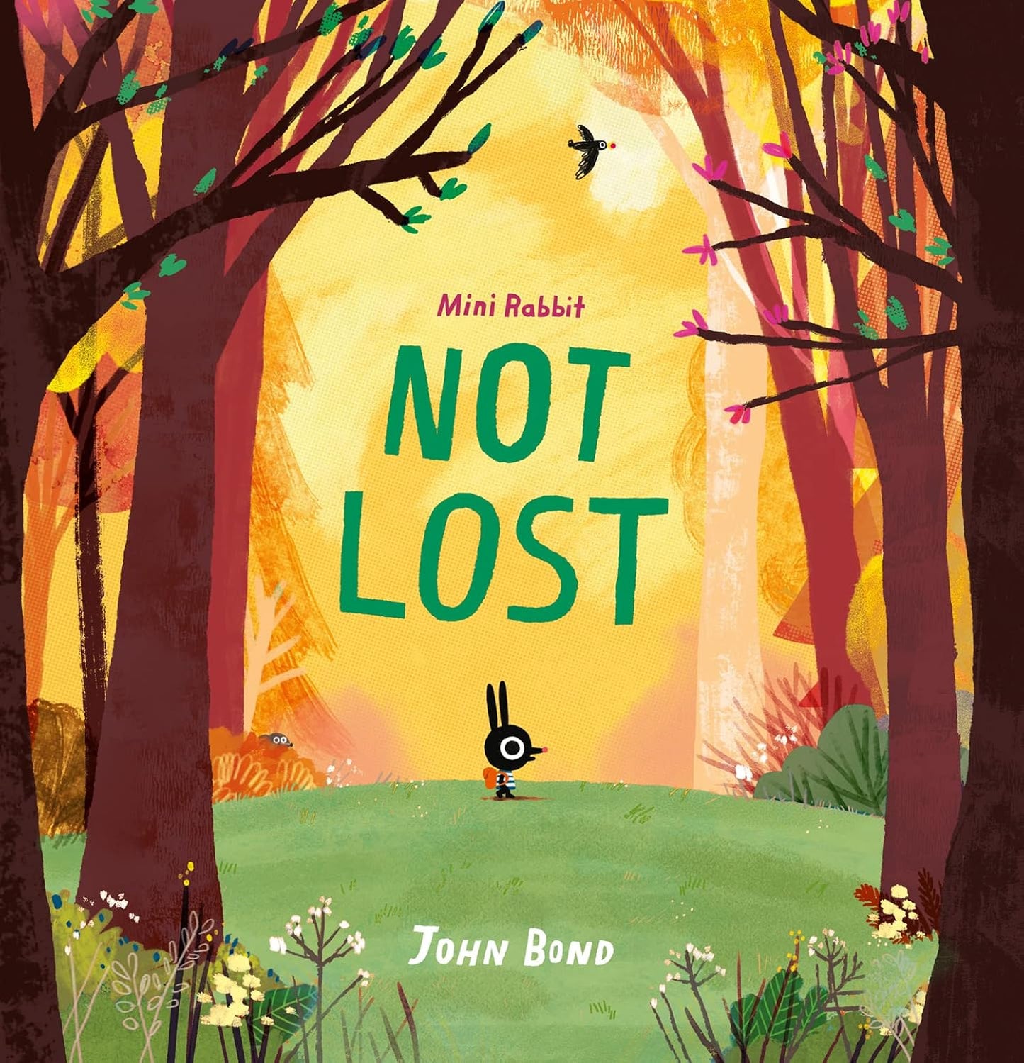 Mini Rabbit Not Lost - John Bond