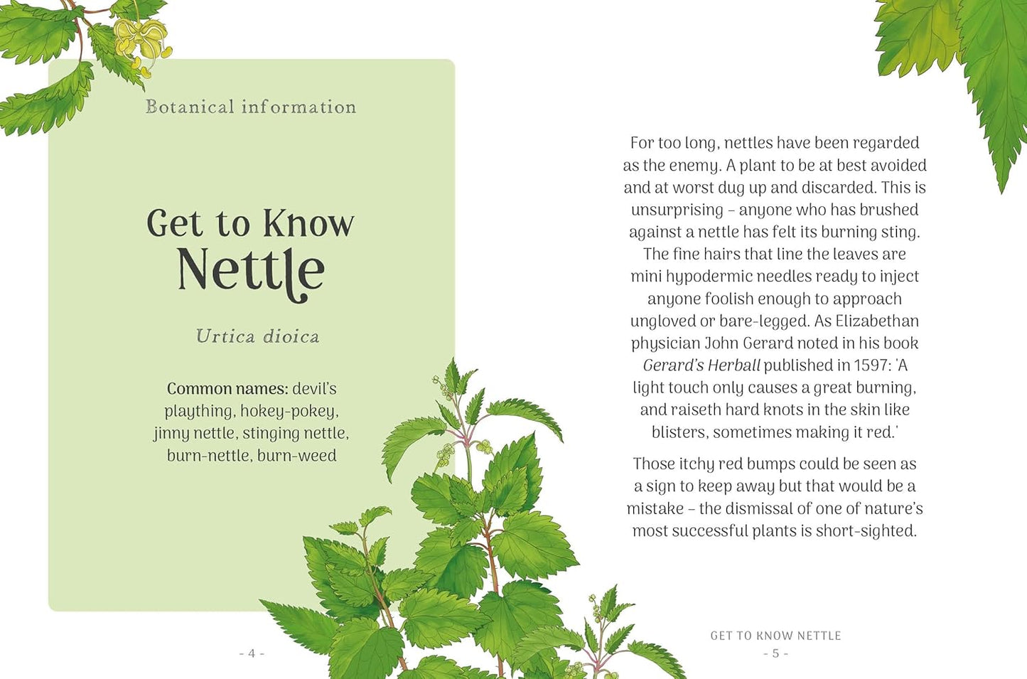 Nettle: Simple things to do with the plants around you (The Little Wild Library) - Clare Gogerty