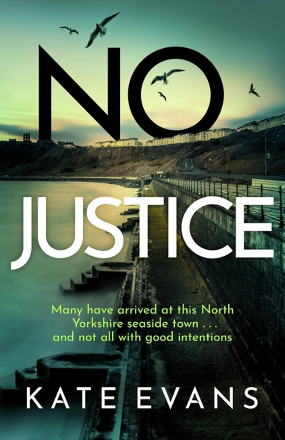 No Justice (DC Donna Morris Series #3) - Kate Evans