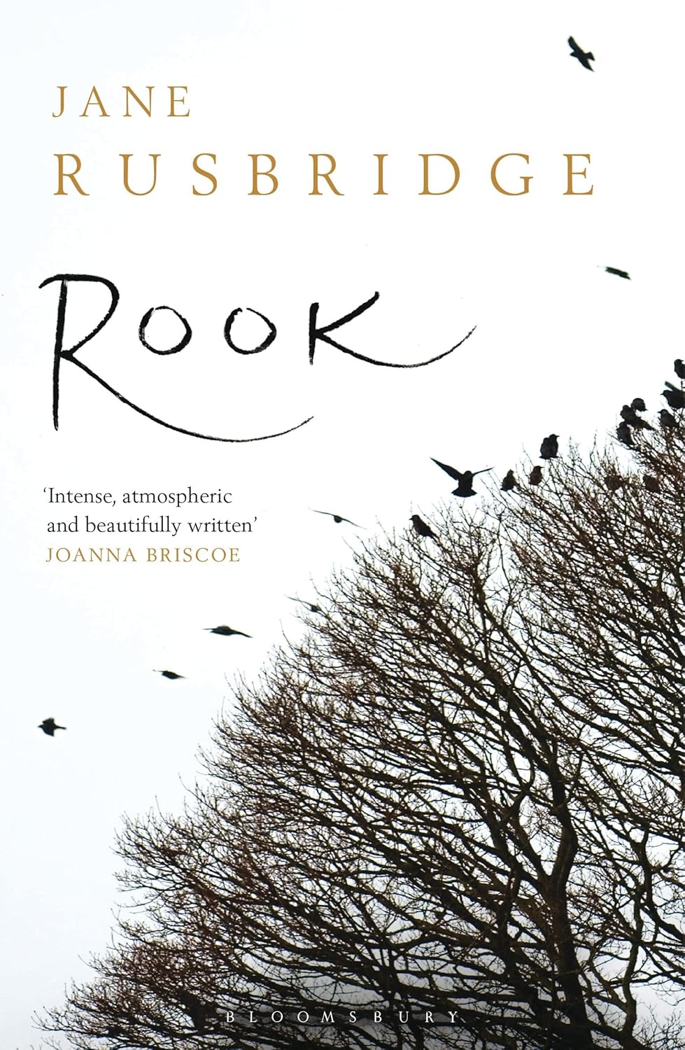 Rook - Jane Rushbridge