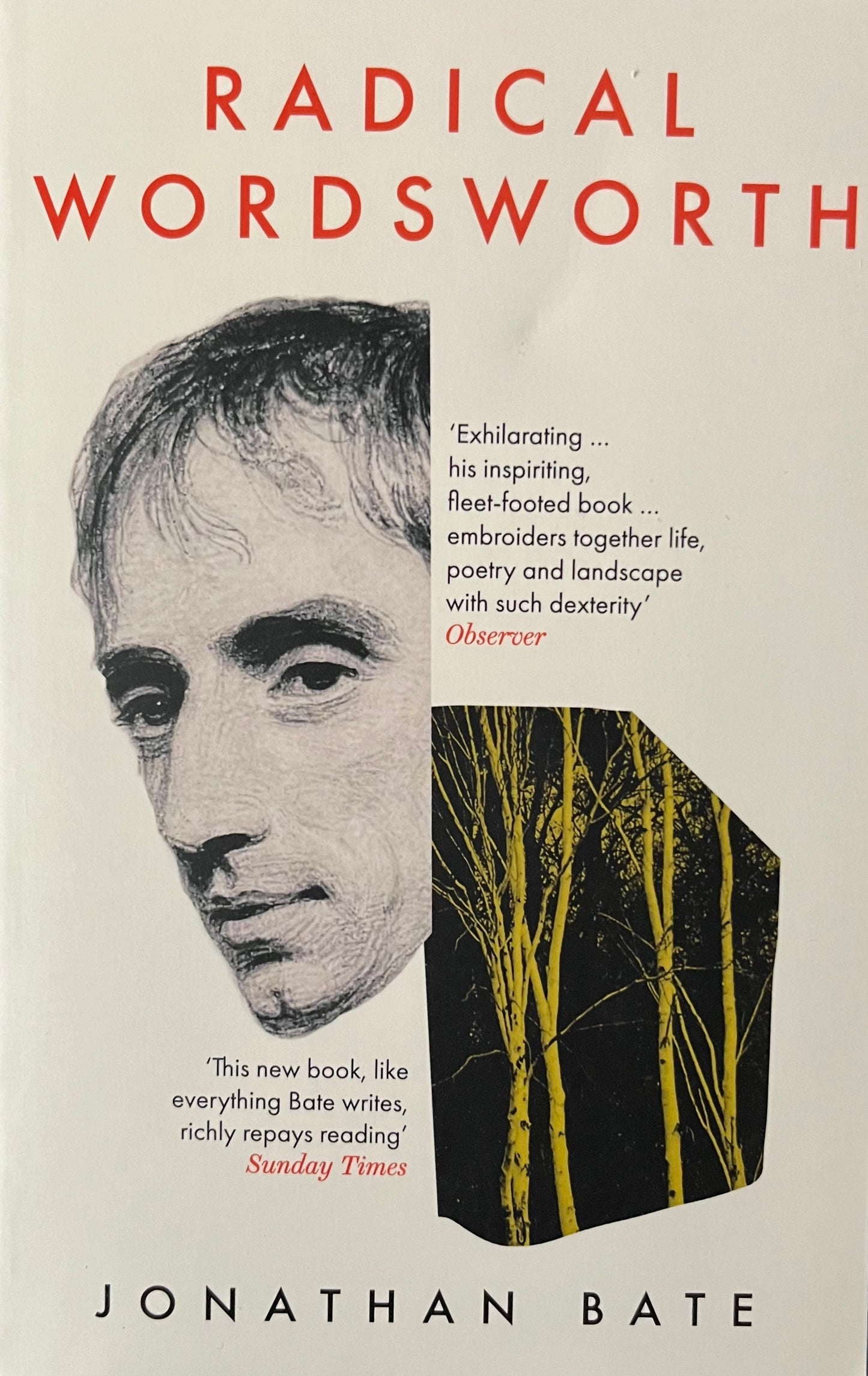 Radical Wordsworth: The Poet Who Changed the World - Jonathan Bate