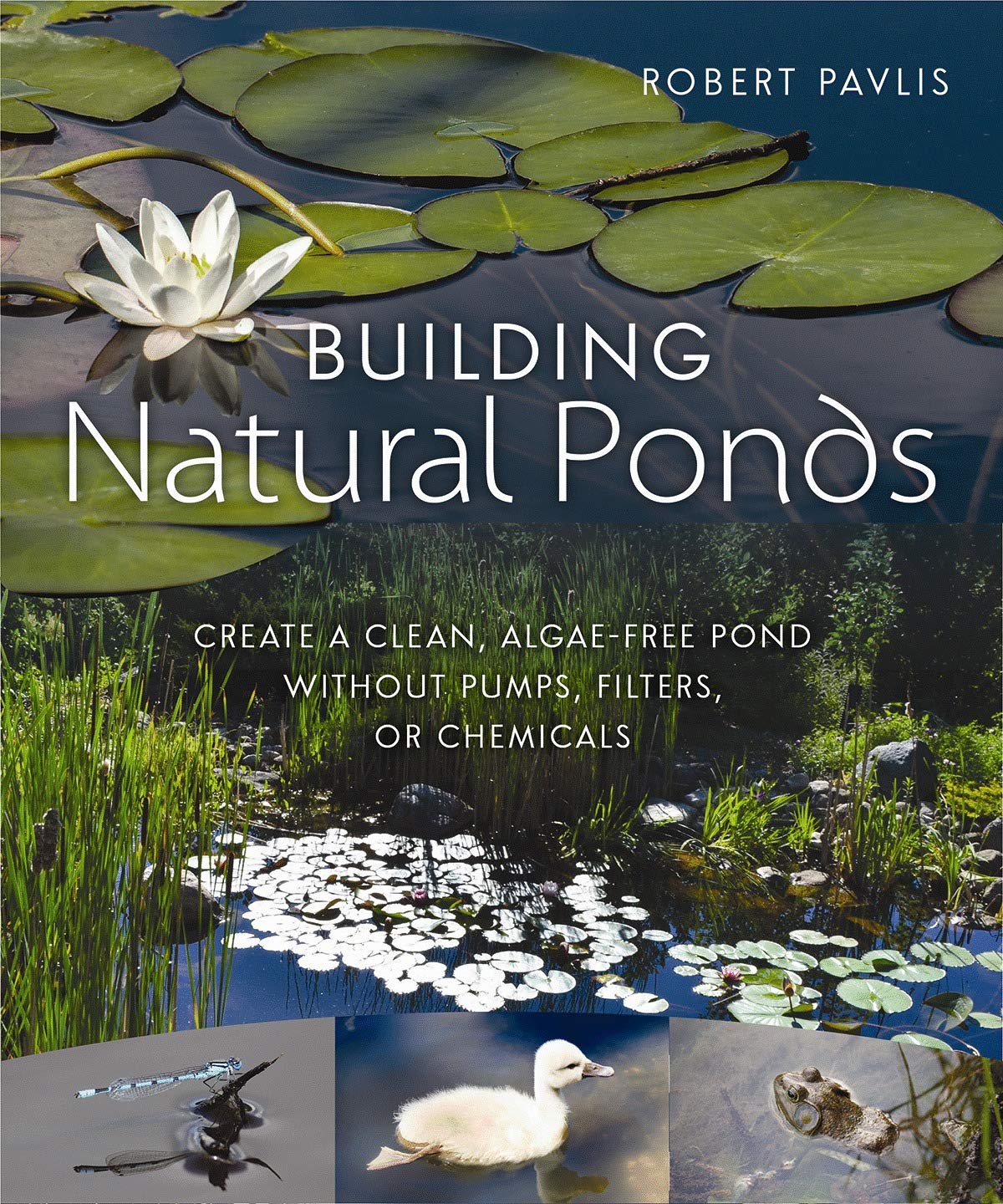 Saving Natural Ponds - Robin Pavlis