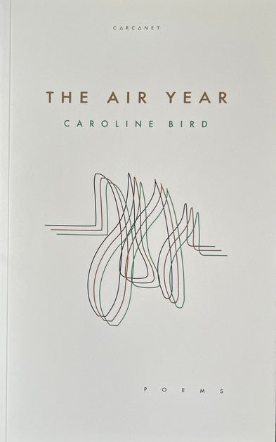 The Air Year - Caroline Bird