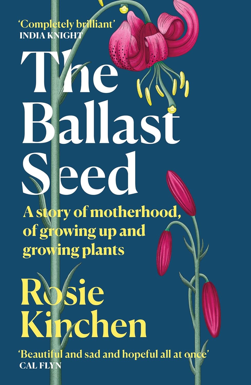 The Ballast Seed: A story of motherhood, of growing up and growing plants - Rosie Kinchen
