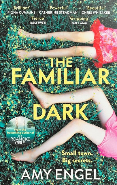 The Familiar Dark - Amy Engel