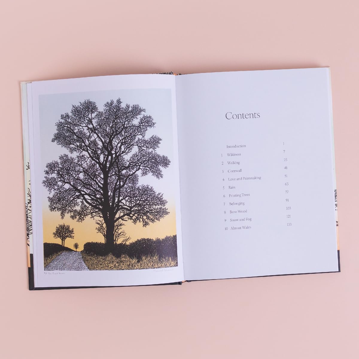 Trees in Winter - Richard Shimell