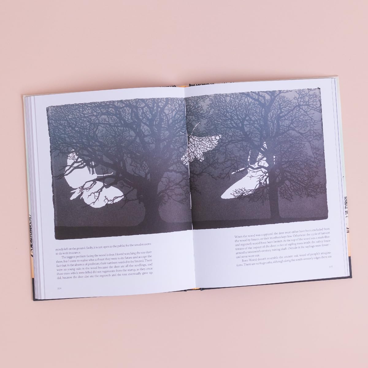 Trees in Winter - Richard Shimell