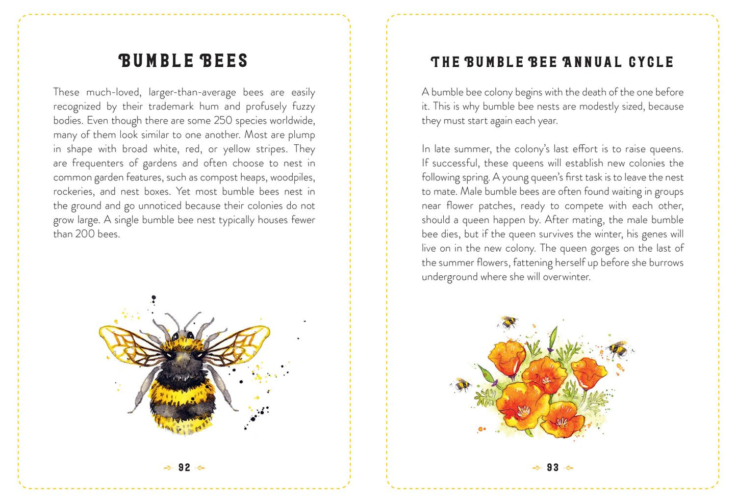 The Little Book of Bees: An Illustrated Guide to the Extraordinary Lives of Bees - Hilary Kearney | Amy Holliday