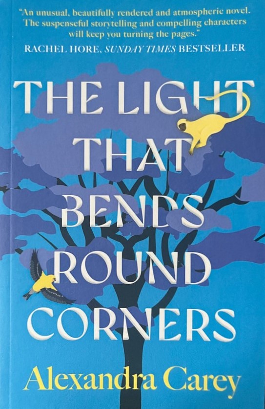 The Light That Bends Round Corners - Alexandra Carey