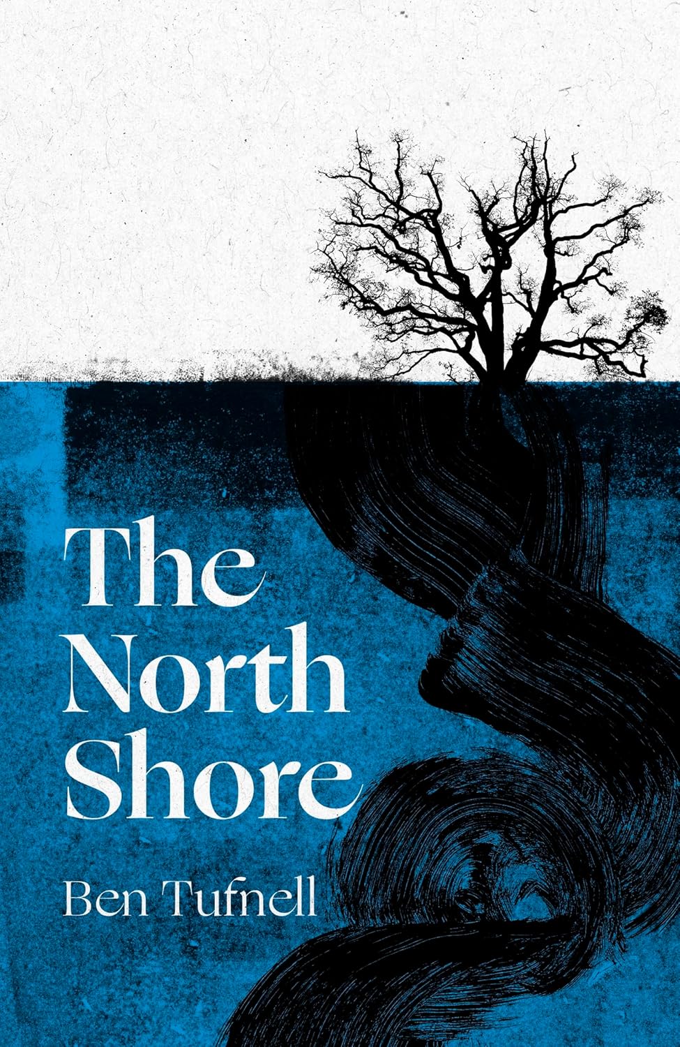 The North Shore - Ben Tufnell