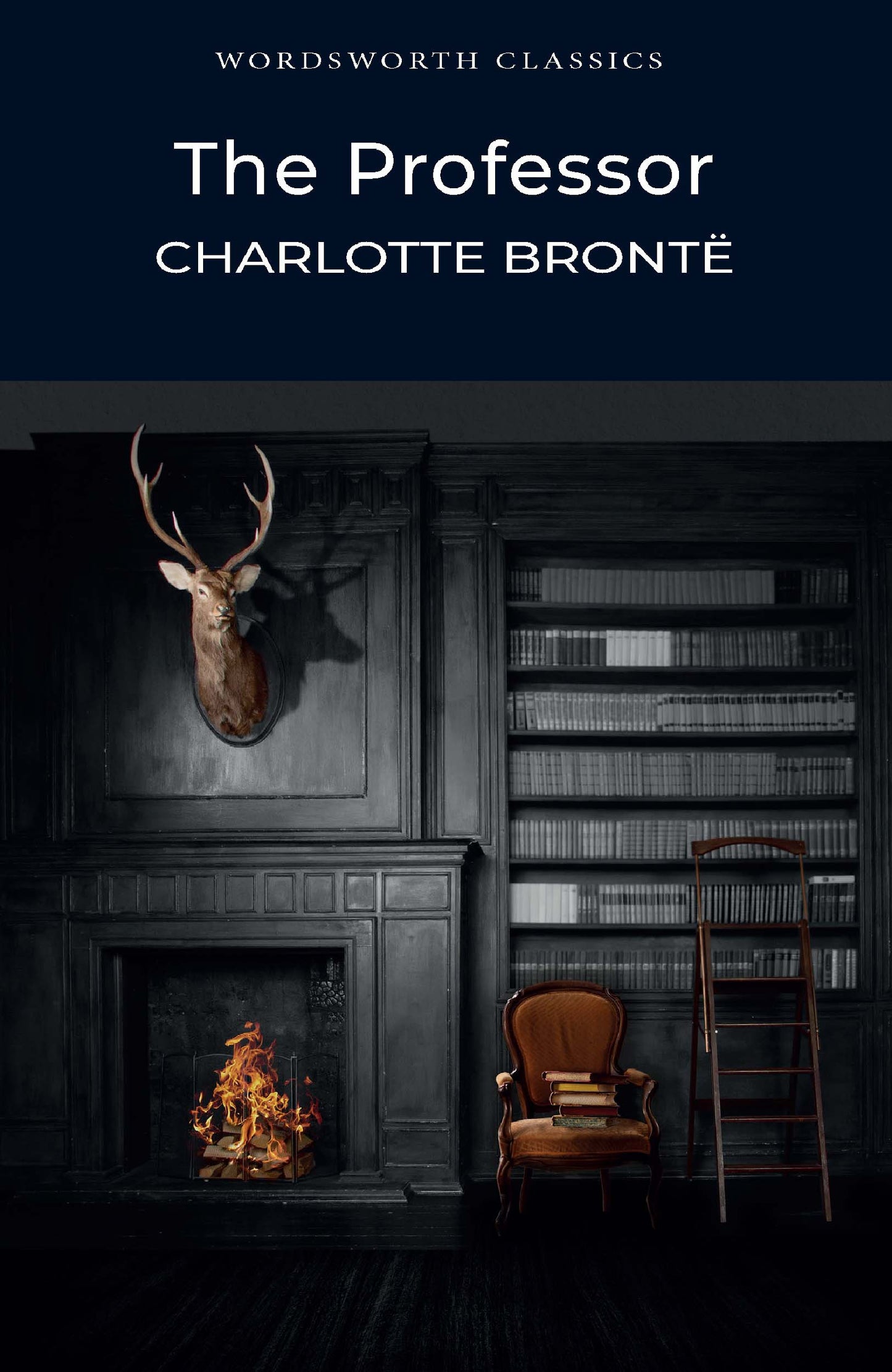 The Professor - Charlotte Bronte