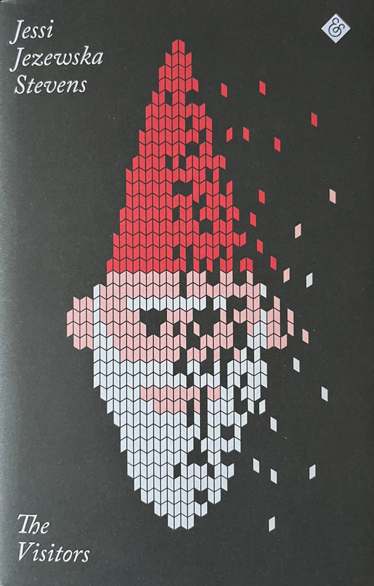 The Visitors - Jessi Jezewska Stevens