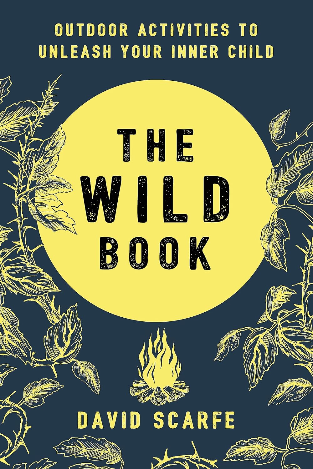 The Wild Book: Outdoor Activities to Unleash Your Inner Child - David Scarfe