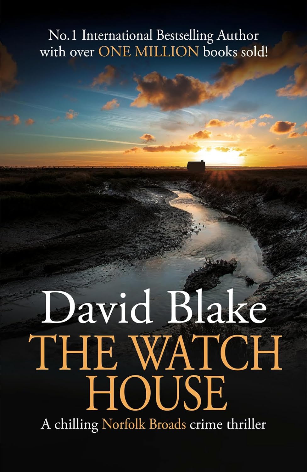The Watch House (Detective Tanner Murder Mystery Series #15) - David Blake - PRE ORDER