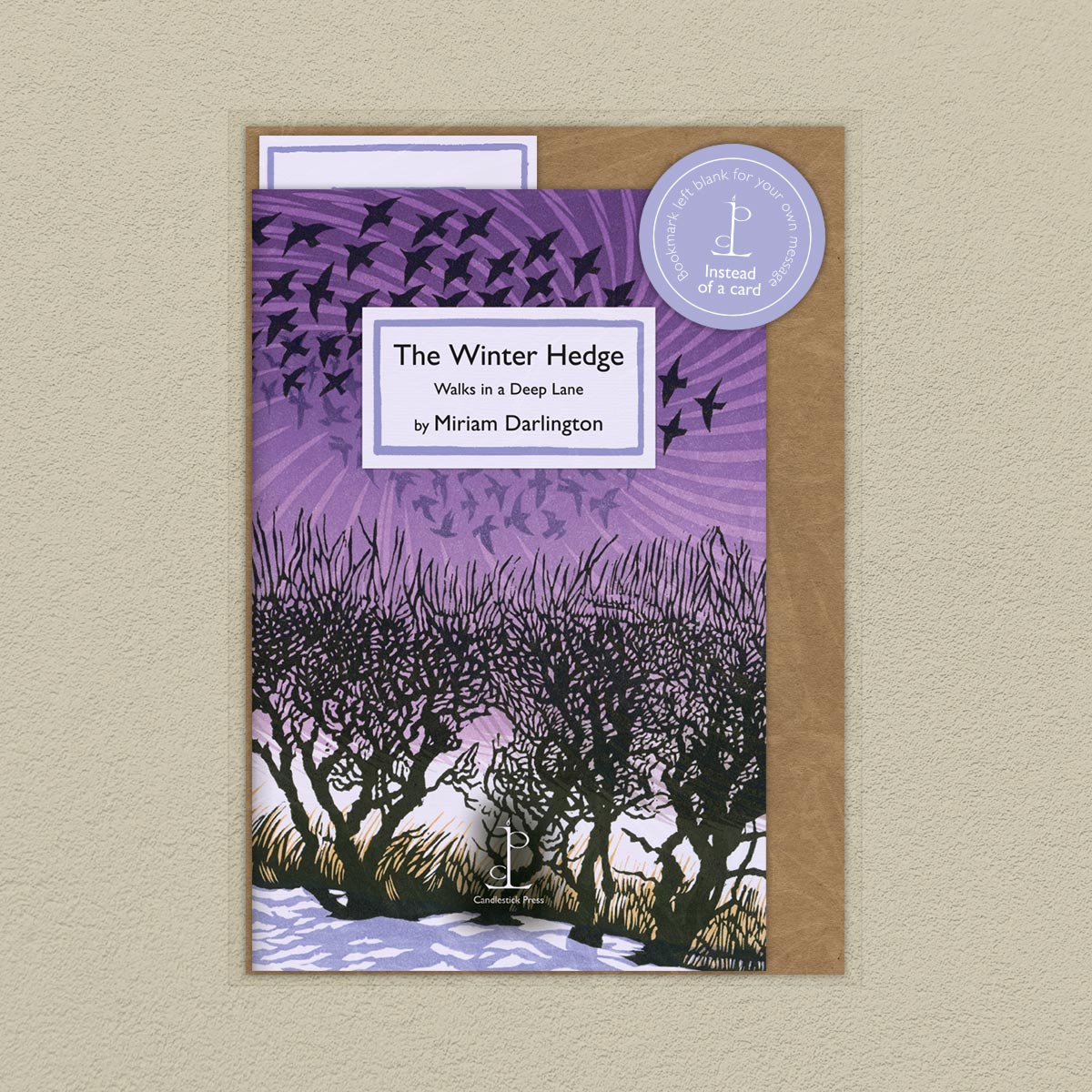 The Winter Hedge: Walks in a Deep Lane - Miriam Darlington