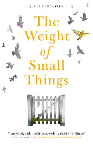 The Weight of Small Things - Julie Lancaster