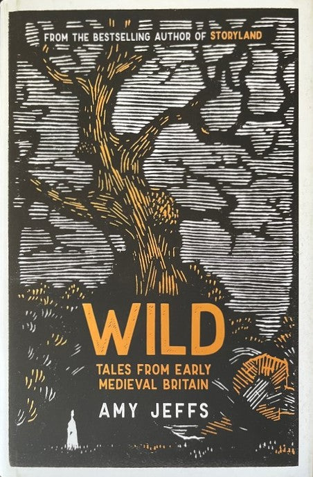 Wild: Tales From Early Medieval Britain - Amy Jeffs