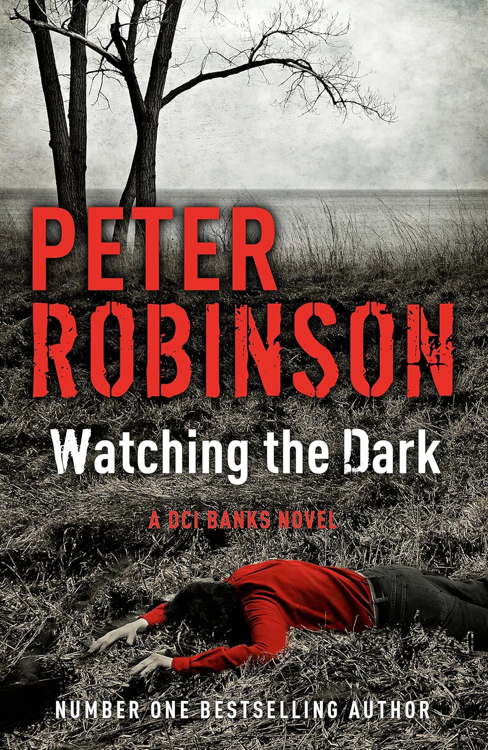 Watching the Dark (DCI Banks #20) - Peter Robinson