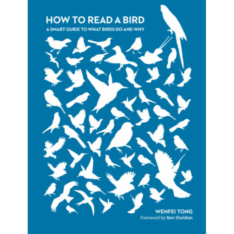 How to Read a Bird: A Smart Guide to What Birds Do and Why - Wenfei Tong