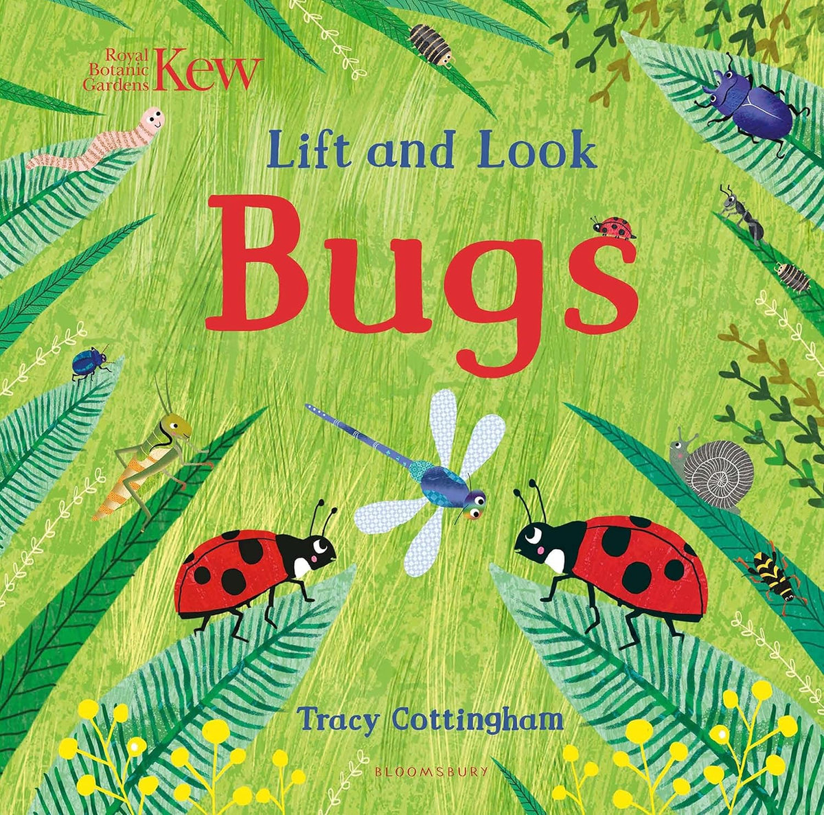 Lift and Look: Bugs - Tracy Cottingham
