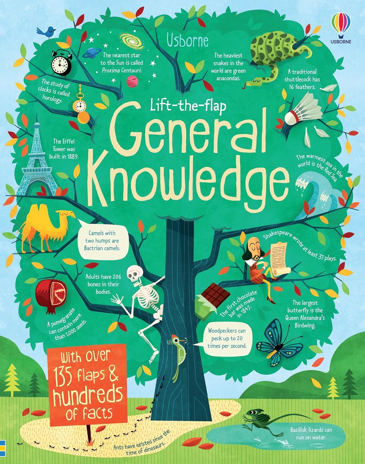 Usborne Lift-the-flap General Knowledge - James Maclaine | Alex Frith | Marco Palmieri