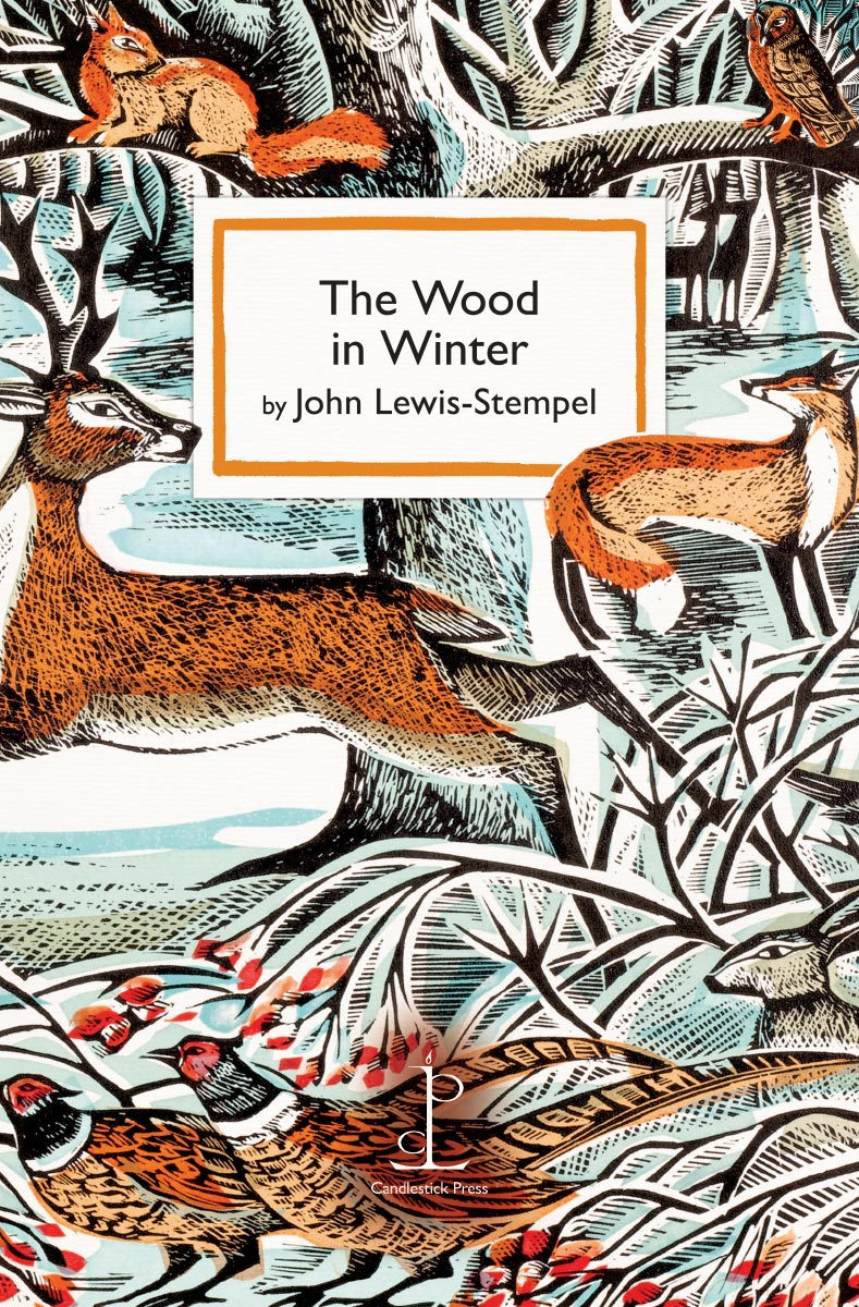 The Wood in Winter - John Lewis-Stempel