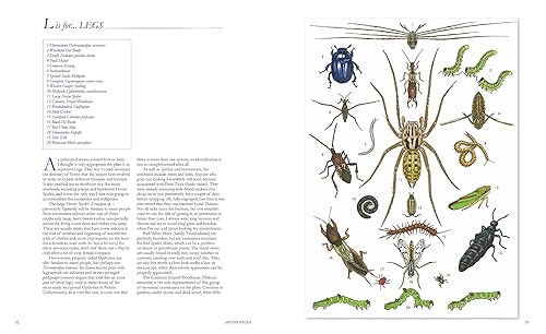 Arthropedia: An Illustrated Alphabet of Invertebrates - Vanna Bartlett