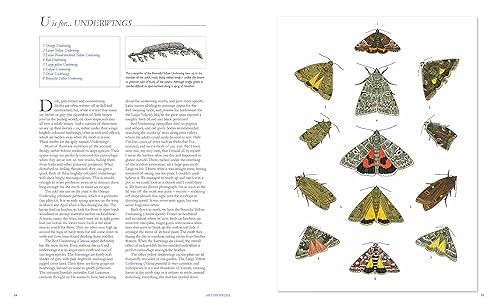 Arthropedia: An Illustrated Alphabet of Invertebrates - Vanna Bartlett