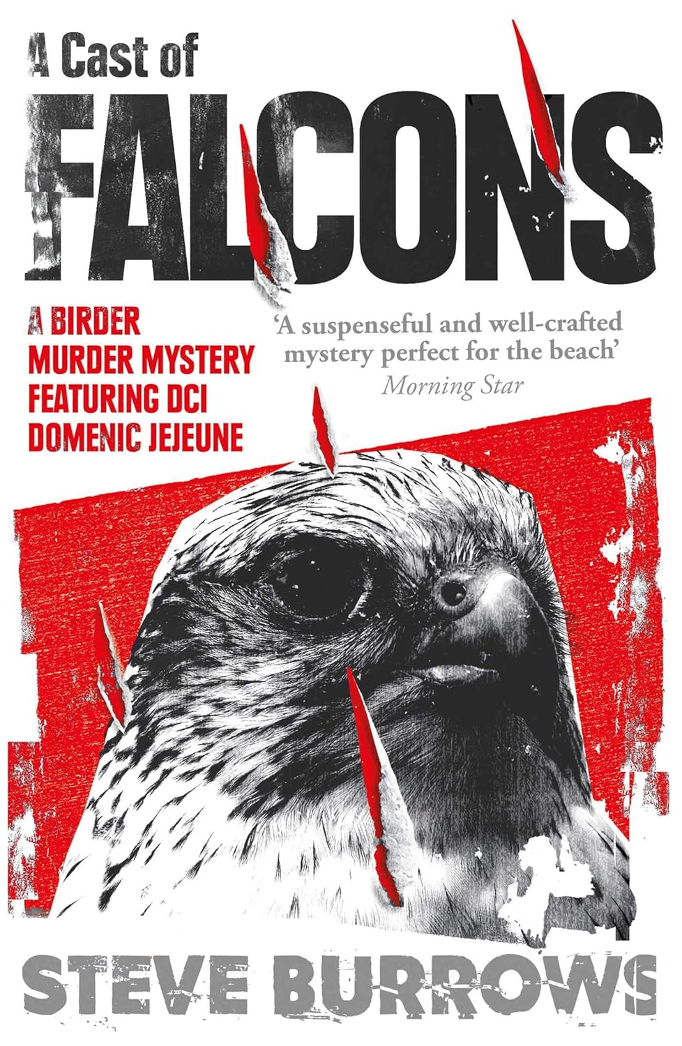 A Cast of Falcons (Birder Murder Series #3) - Steve Burrows