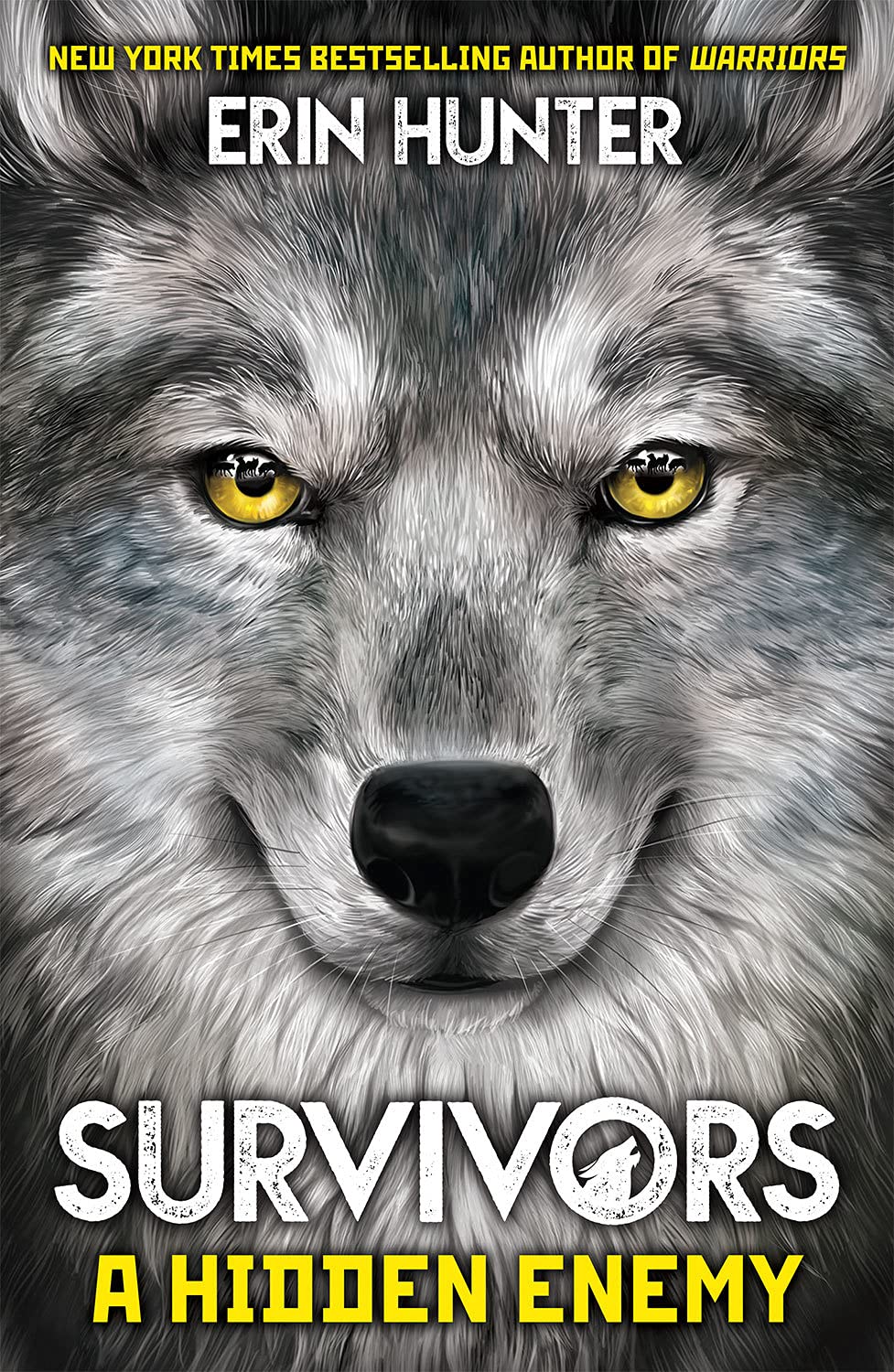 A Hidden Enemy (Survivors Series # 2) - Erin Hunter