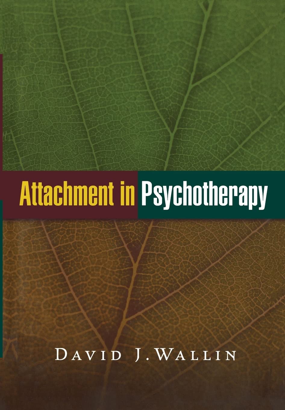 Attachment in Psychotherapy - David J. Wallin