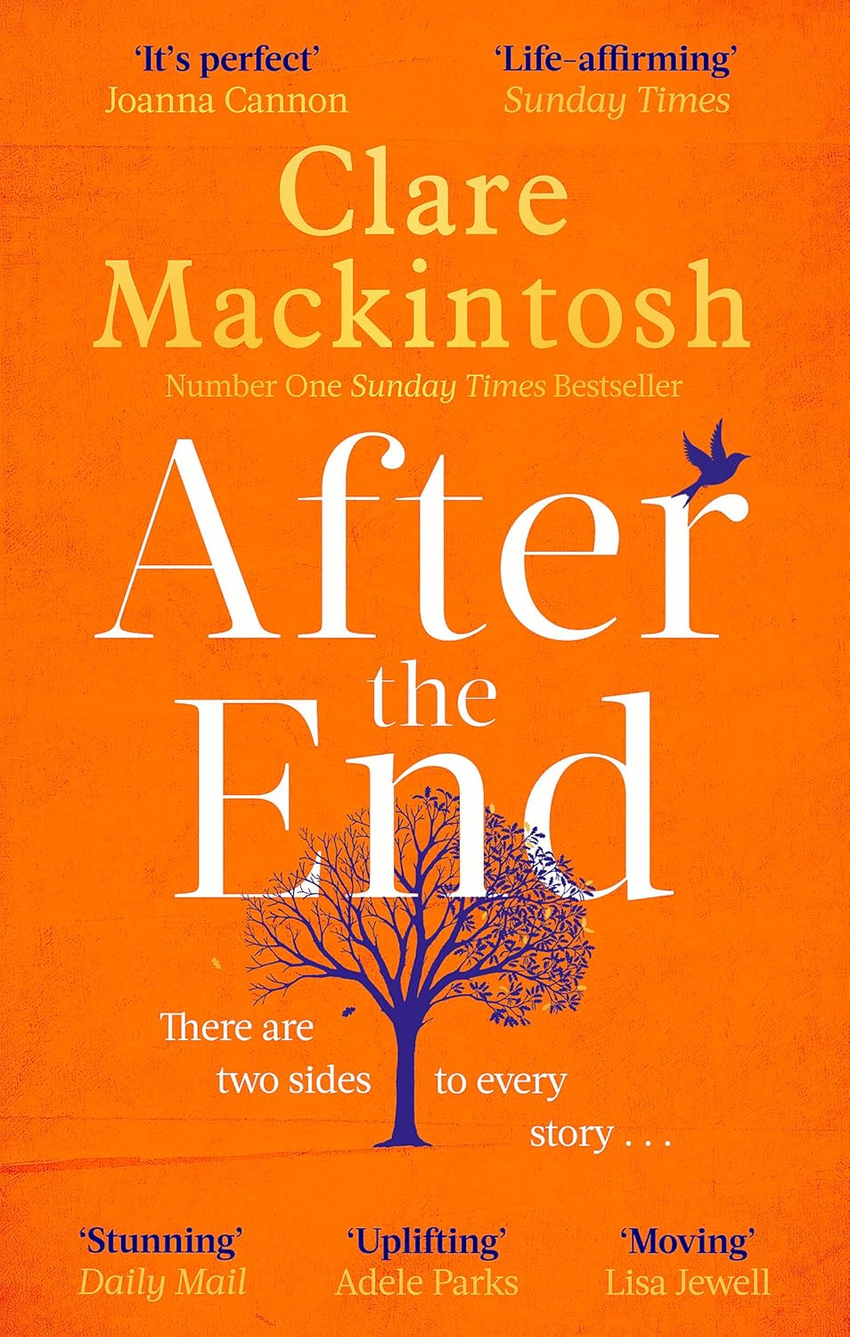 After the End - Clare Mackintosh