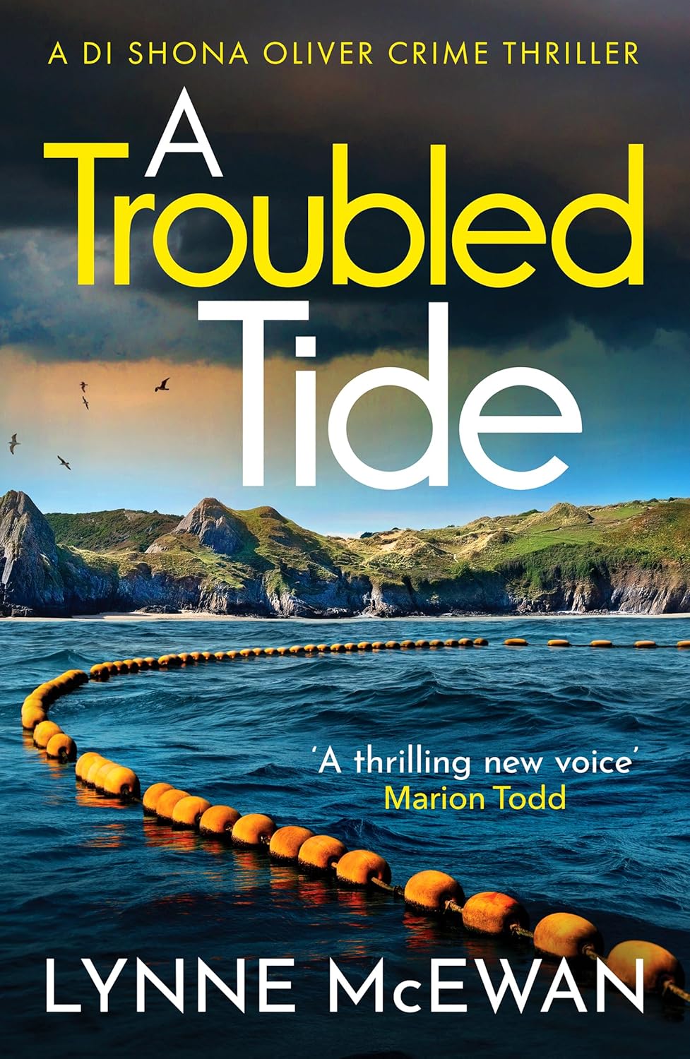 A Troubled Tide (Detective Shona Oliver Series #5) - Lynne McEwan