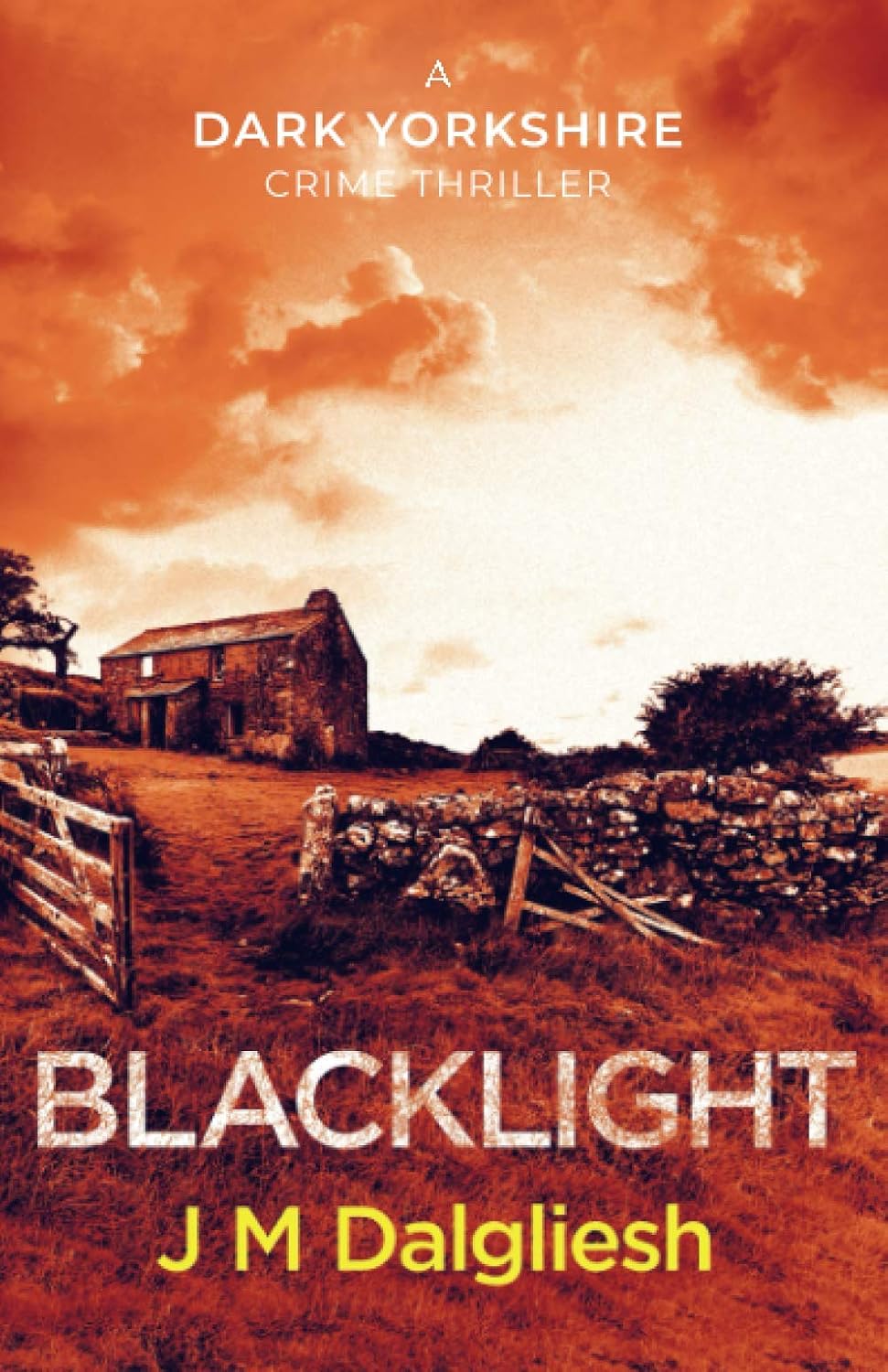 Blacklight (The Dark Yorkshire Series #2) - J M Dalgliesh