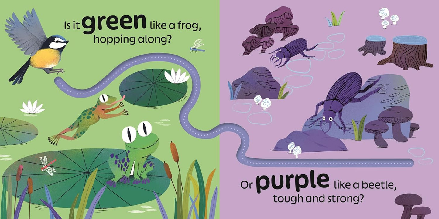Birdie Loves Colours: With finger trails and lift-the-flap surprises! -  RSPB