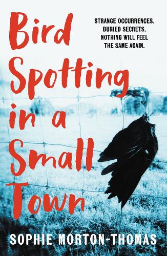 Bird Spotting in a Small Town - Sophie Morton-Thomas