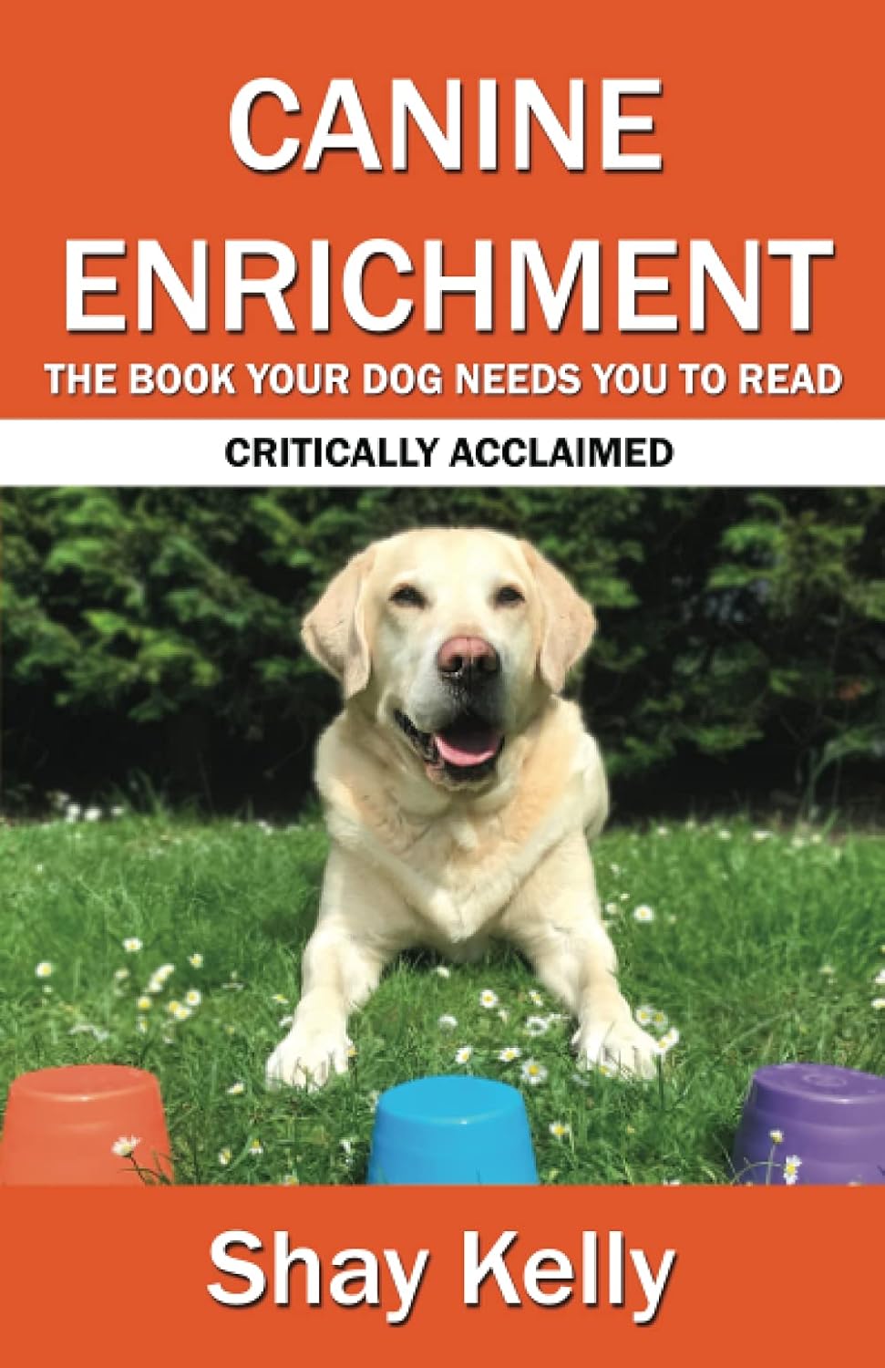Canine Enrichement - Shay Kelly