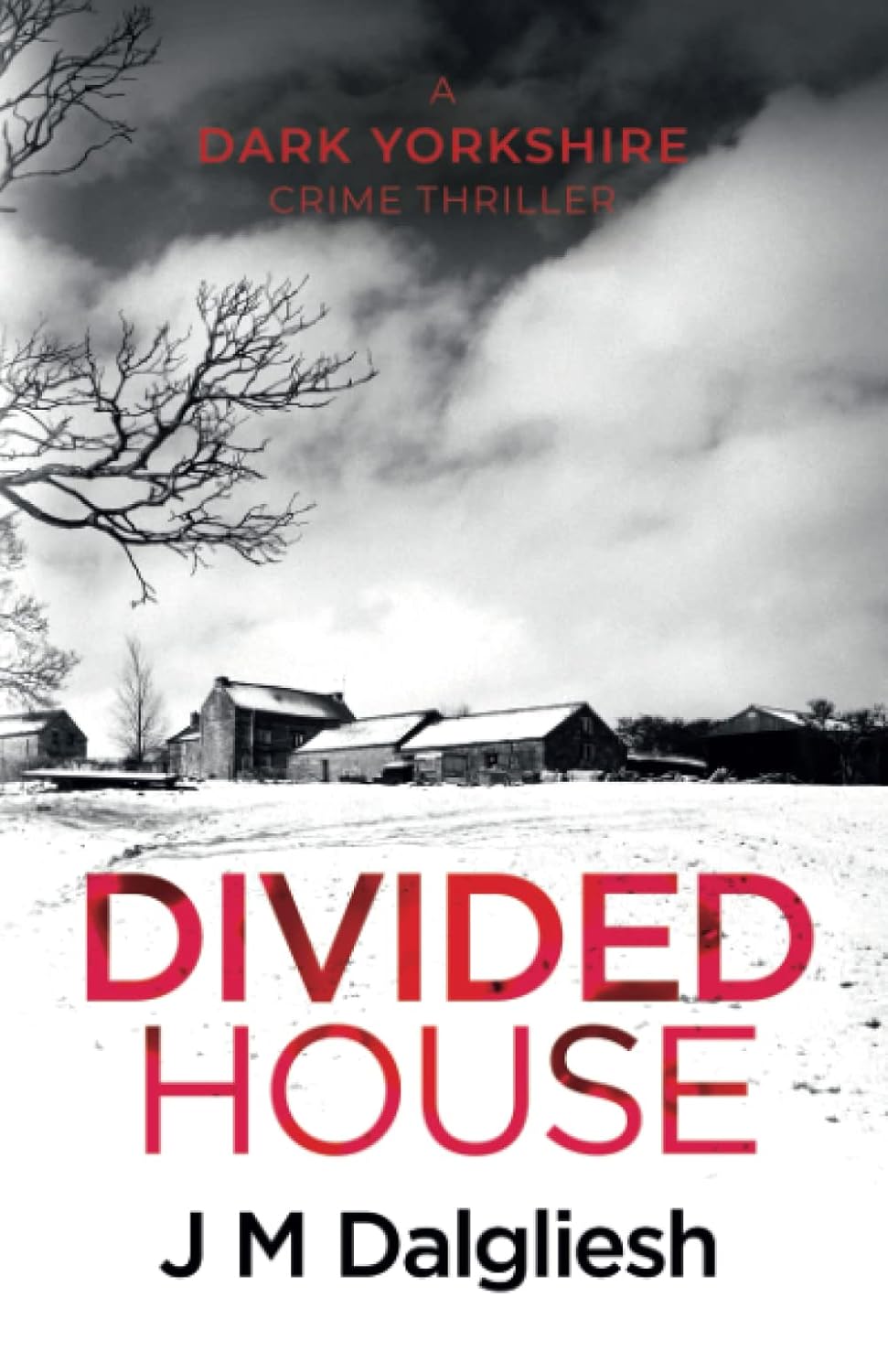 Divided House (The Dark Yorkshire Series #1) - J M Dalgliesh