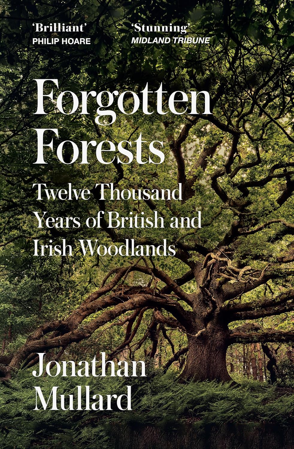 Forgotten Forests: Twelve Thousand Years of British and Irish Woodlands - Jonathan Mullard